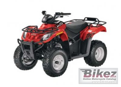 2012 Arctic Cat 300 photo